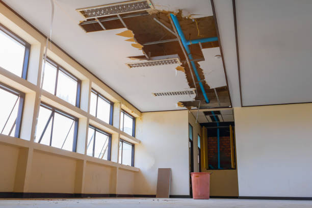  Stockton, IL Water damage restoration Pros