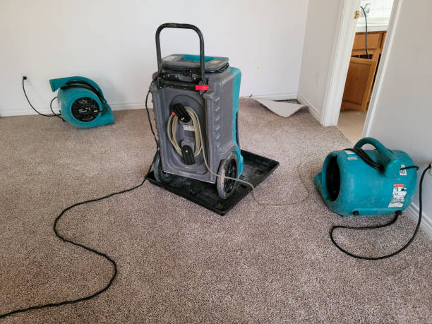 Best Local water damage restoration  in Stockton, IL