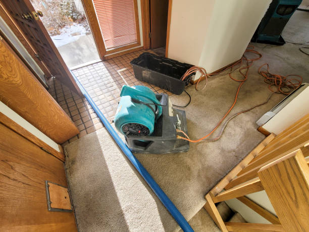 Best Residential water damage restoration  in Stockton, IL