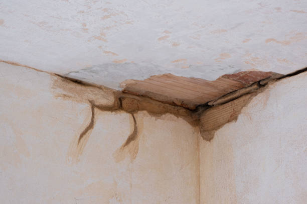 Best 24/7 water damage repair  in Stockton, IL