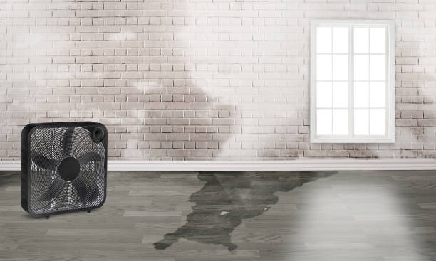 Best Fire Damage Restoration  in Stockton, IL