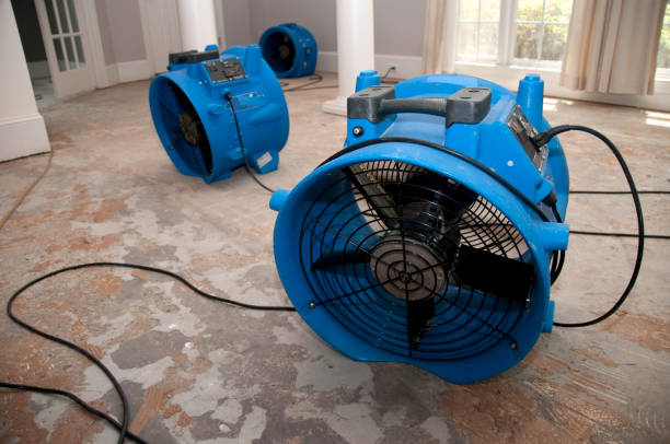 Trusted Stockton, IL Water damage restoration Experts