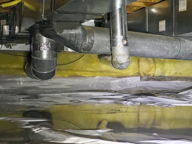 Best Mold removal after water damage  in Stockton, IL