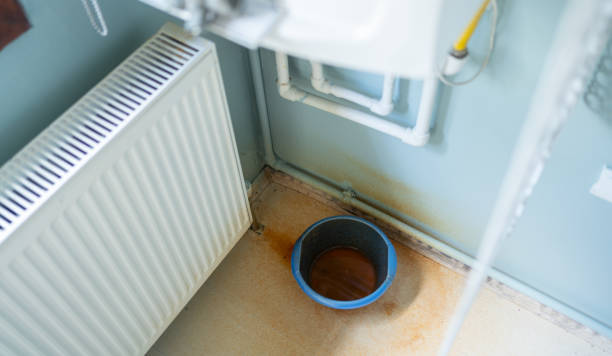Best Fire Damage Restoration  in Stockton, IL
