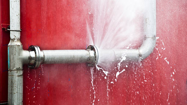 Best Flooded house restoration  in Stockton, IL