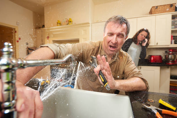 Best Flood restoration services  in Stockton, IL